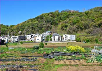 新興住宅地