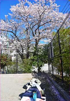 公園で