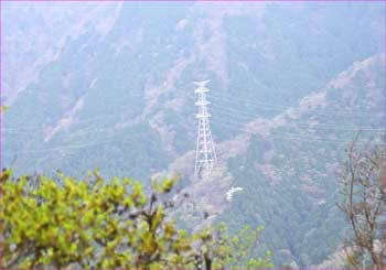 送電鉄塔