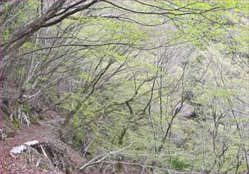 山道