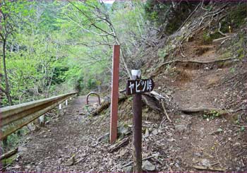 山道