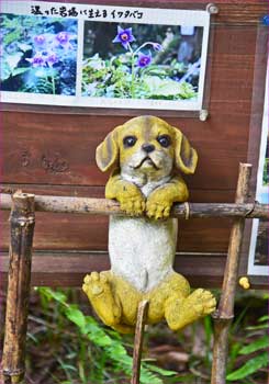犬の
