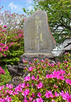 ツツジと石碑