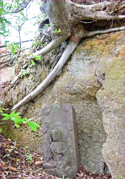 根元の