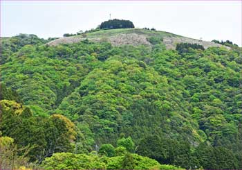 大野山