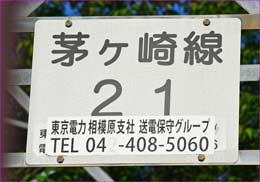 プレート