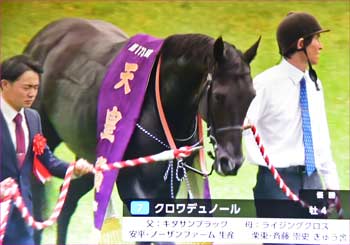 クロワデユノール