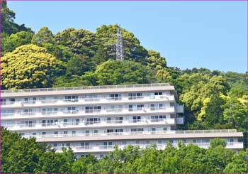 保養所