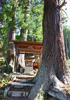 子之神社