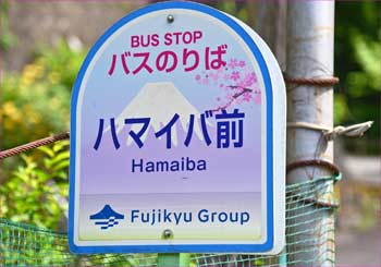 ハマイバ前バス停