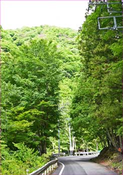 峡谷へ