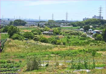 田園