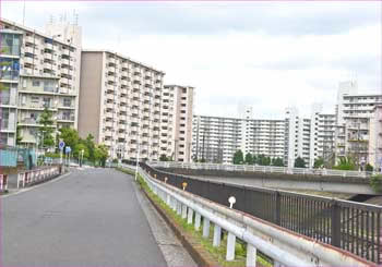 いちょう団地