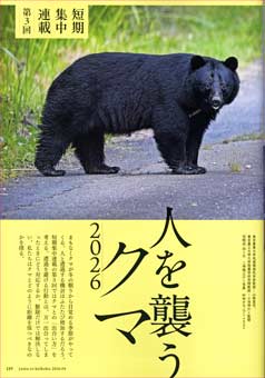 クマの